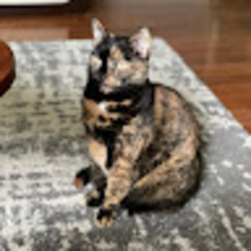 Meet your Posher, Audrey